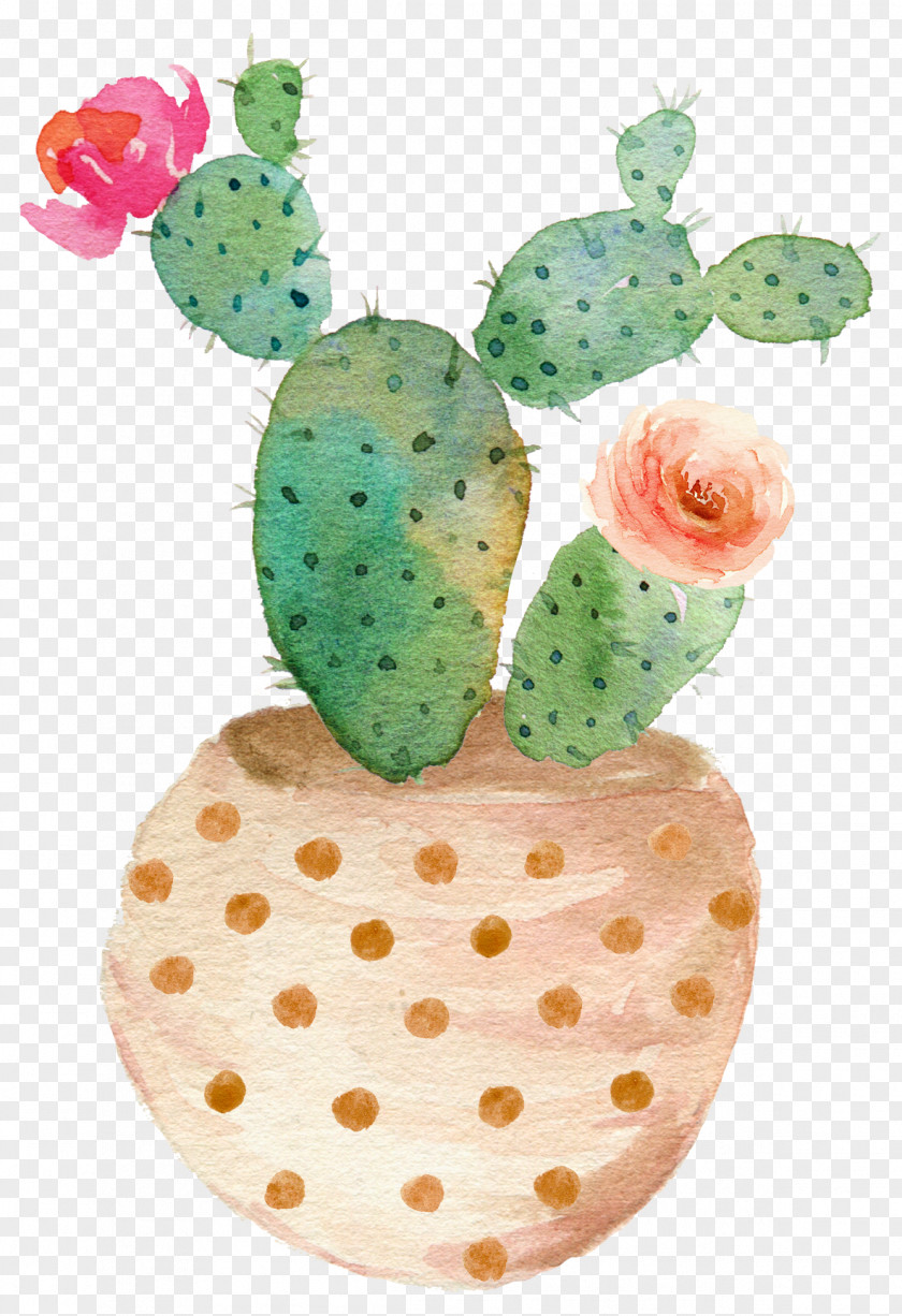 Drawing Potted Cactus Bloom Watercolor Painting Succulent Plant Cactaceae Clip Art PNG