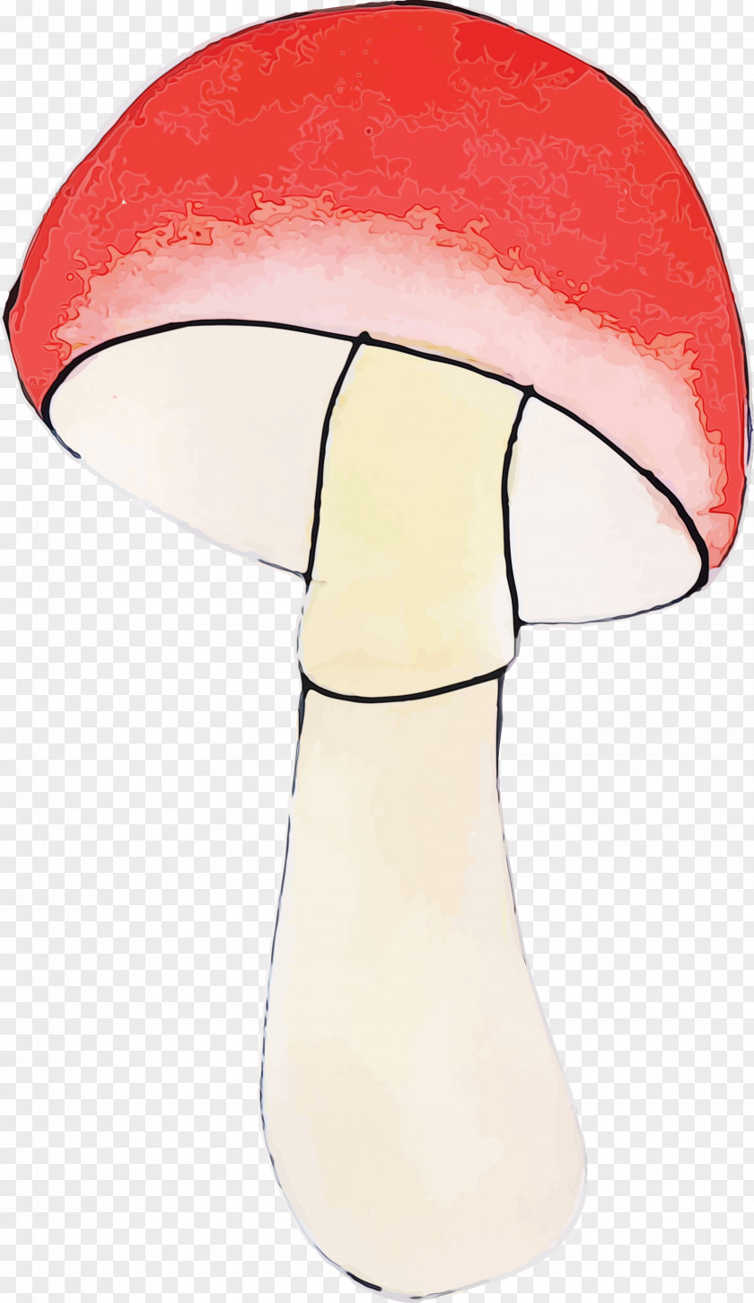 Hat Lamp PNG
