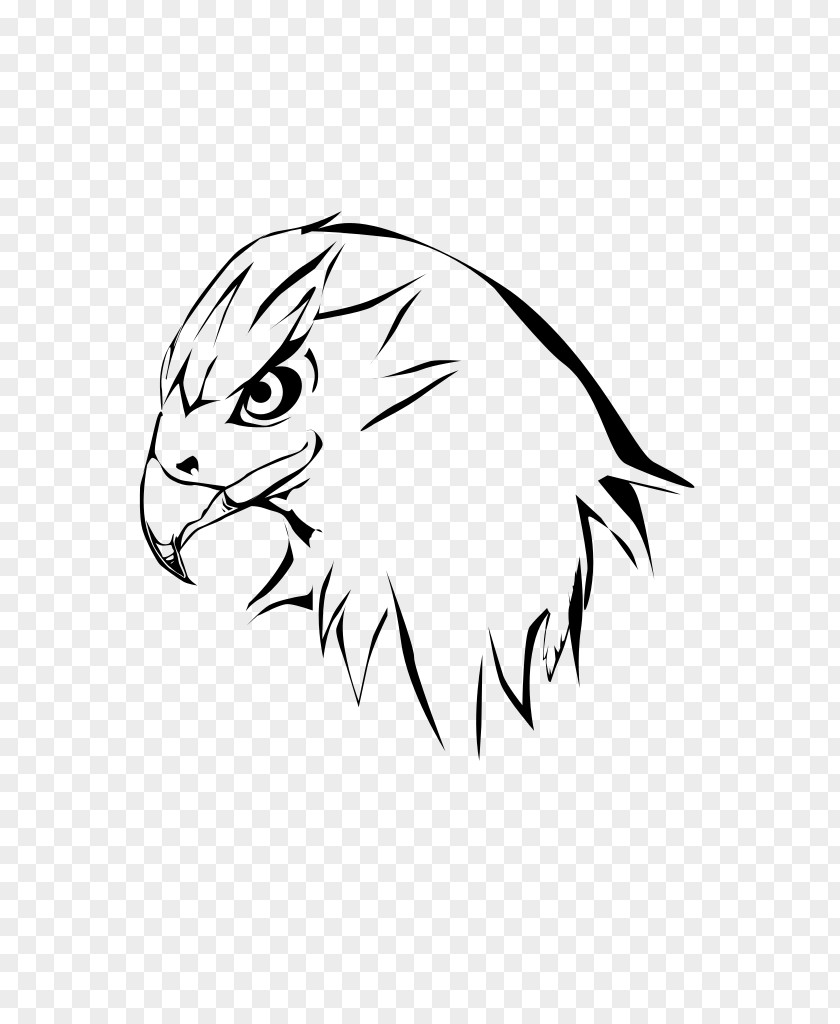 Hawk Clipart Drawing Line Art Cartoon Clip PNG