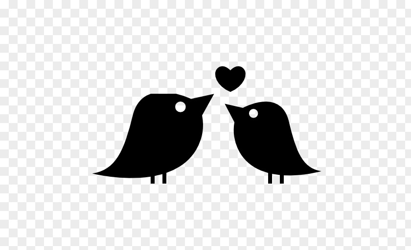 Love Birds Lovebird Heart PNG