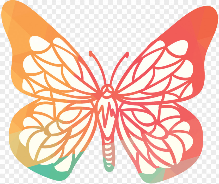 Monarch Butterfly Vector Graphics Image Moth PNG