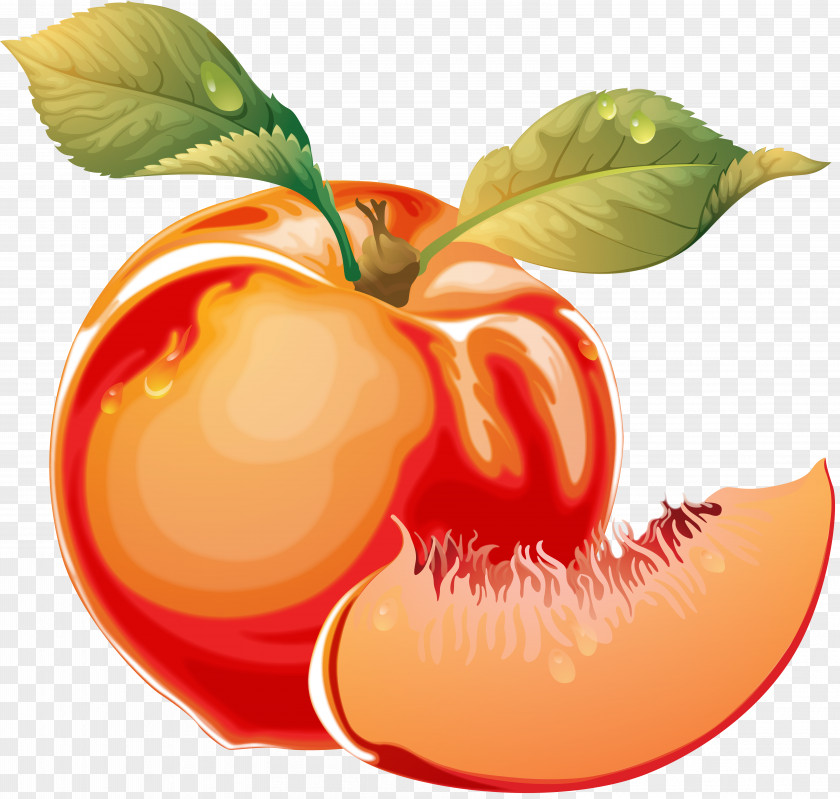 Peach Clip Art PNG