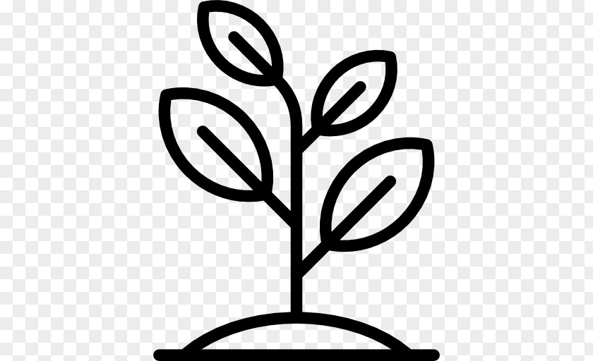 Plant Tree Planting Woody Stem PNG