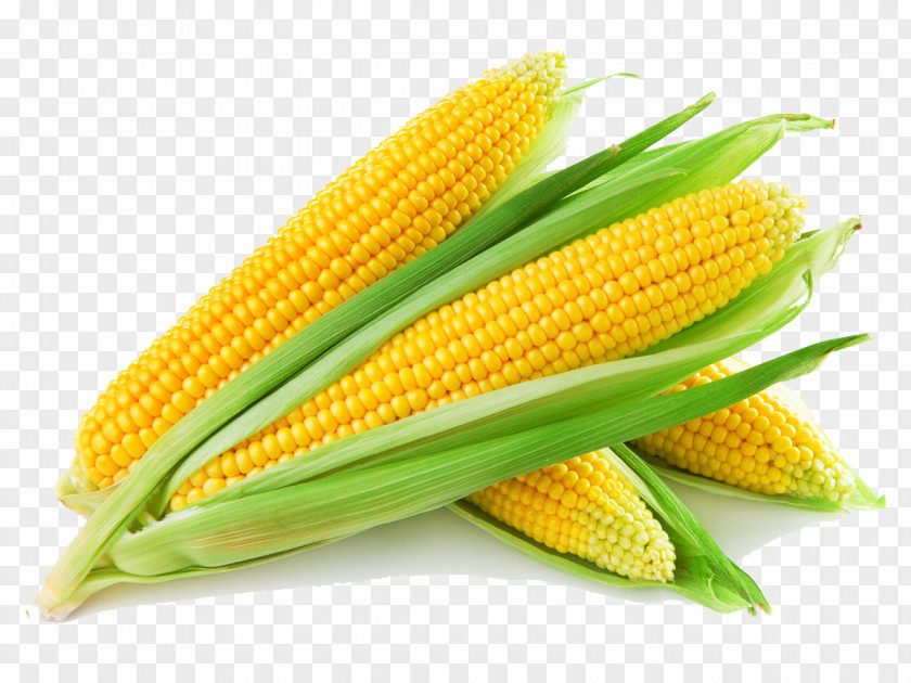Sweet Corn On The Cob Maize Fruit Vegetable PNG