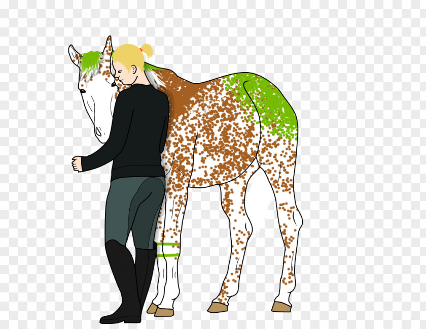 Giraffe Horse Illustration Pack Animal Neck PNG