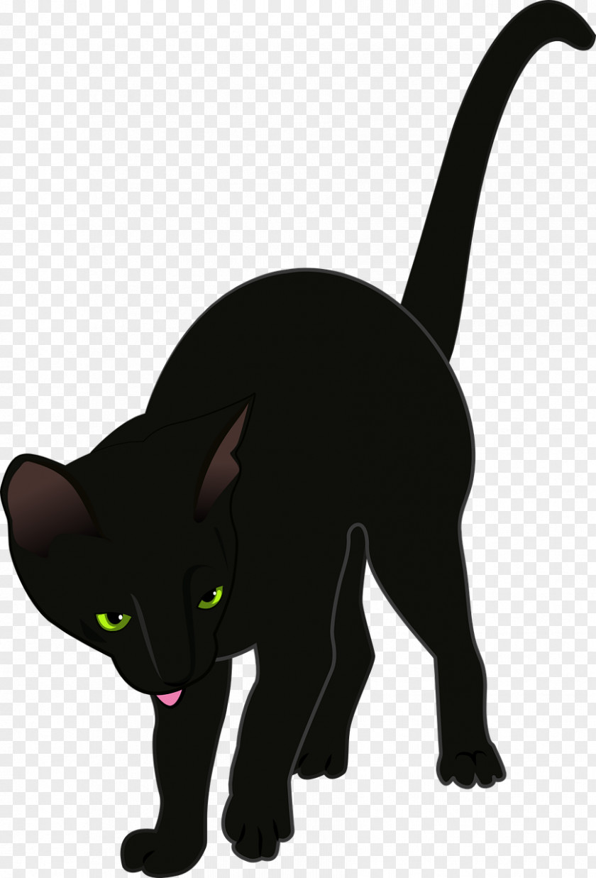 Kitten Black Cat Burmese Domestic Short-haired Whiskers PNG