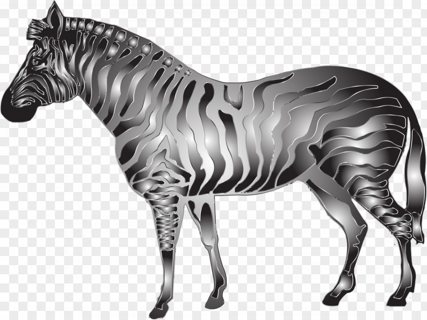 Zebra Horse Quagga Metallic Color Clip Art PNG
