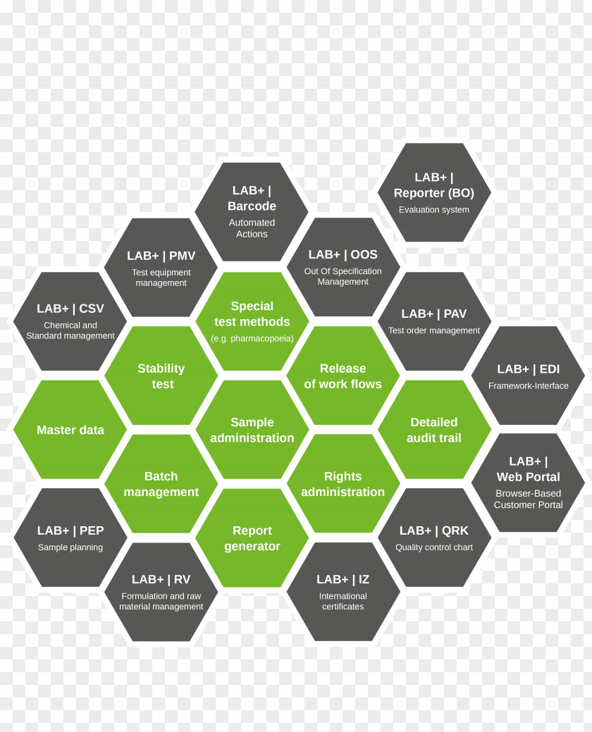 Design Laboratory Information Management System Effective Project Management: Traditional, Agile, Extreme Computer Software PNG