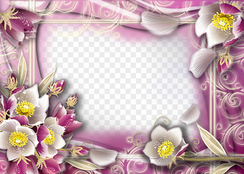 Floral Photo Frame Picture Frames Flower Clip Art PNG