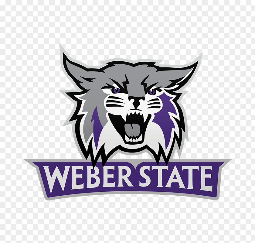 Fox College Sports Weber State University Wildcats Football Women's Basketball Men's Central Connecticut PNG