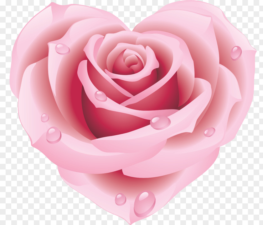 Rose Heart Stock Photography Pink Clip Art PNG