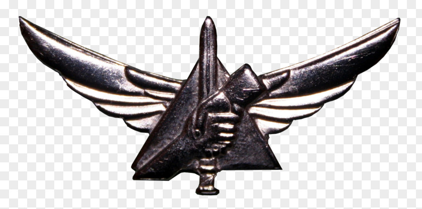 Search And Rescue Israel Defense Forces חטיבת החילוץ Home Front Command Warrior PNG