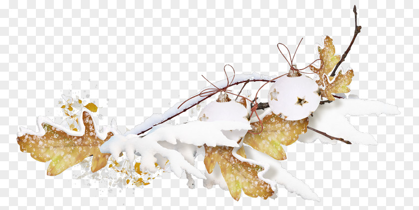 Snow Fall Leaves Image Twig Christmas Day Animation PNG