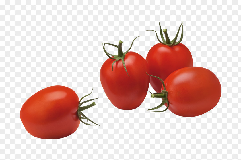 Tomato Sauce Plum Vegetable Food Roma Fruit PNG