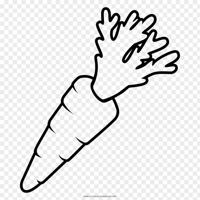 Carrot Black And White Drawing Coloring Book PNG
