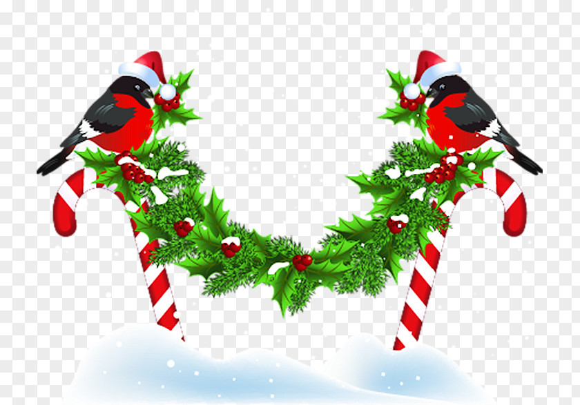 Christmas Ornament Bird New Year Kerstkrans PNG