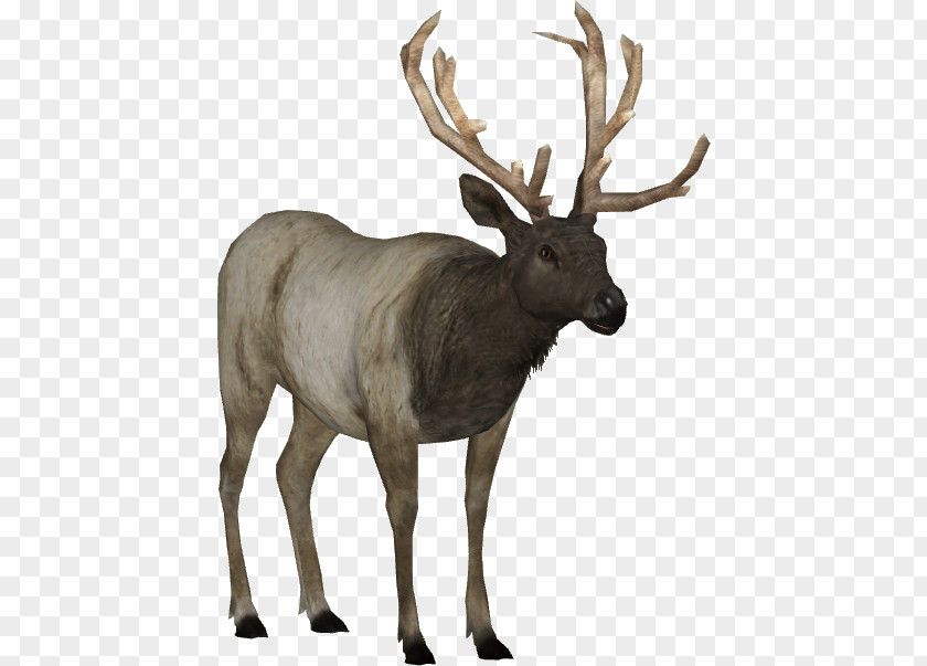 Deer Zoo Tycoon 2: Marine Mania Elk PNG
