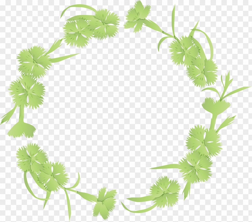 Parsley PNG