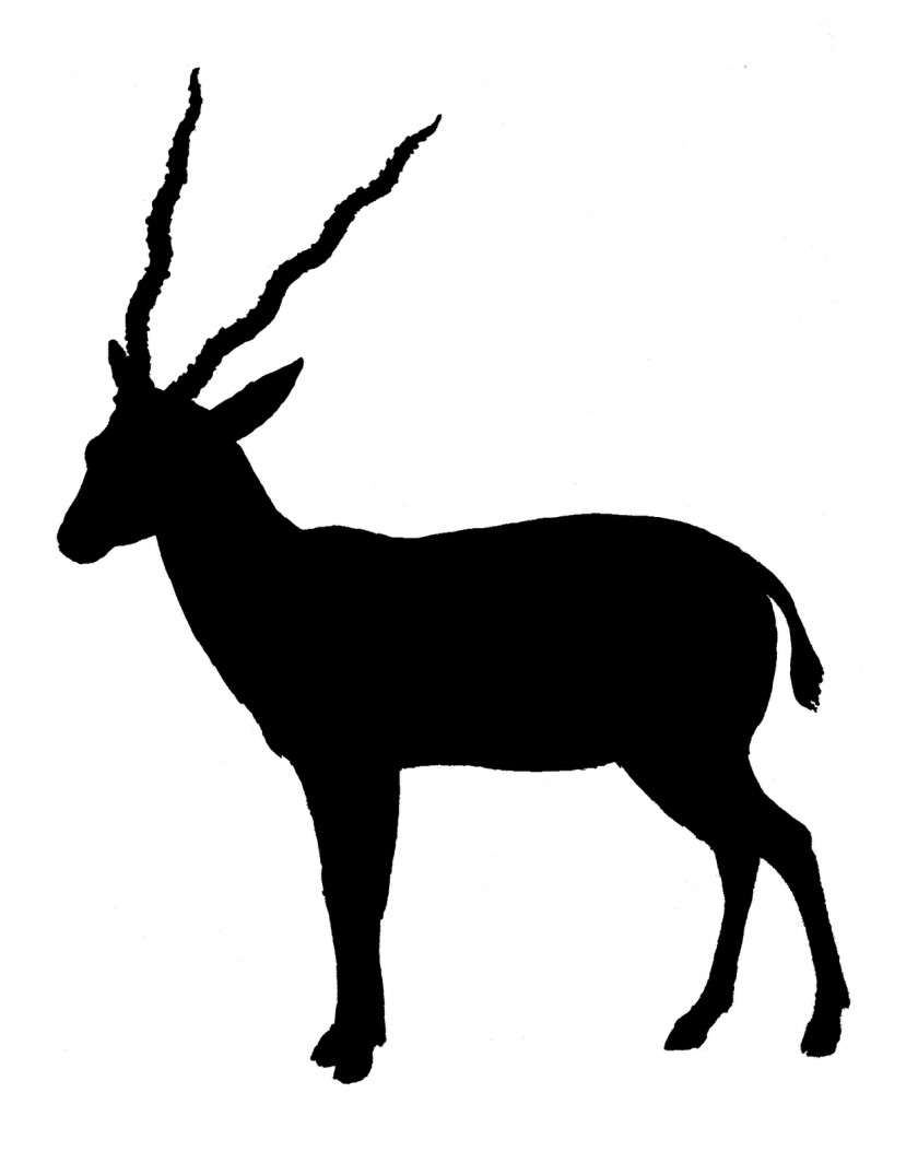 Silhouette Animals Antelope Gazelle Pronghorn Clip Art PNG