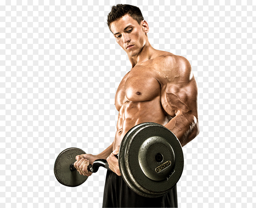 Bodybuilding Dietary Supplement Muscle Mass PNG