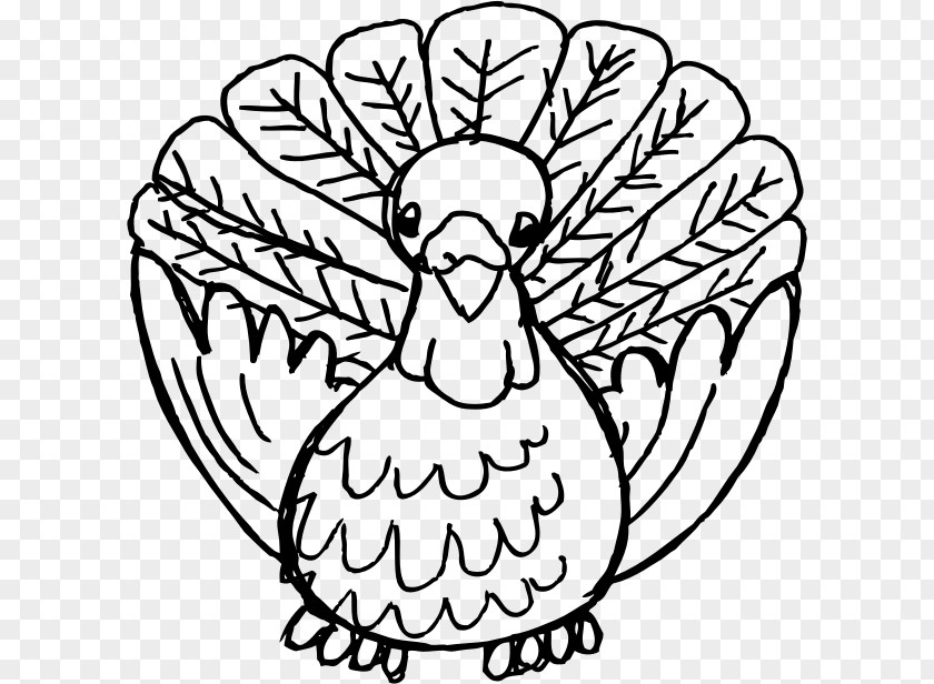 Turkey Bird Black Thanksgiving Dinner Pilgrim Clip Art PNG