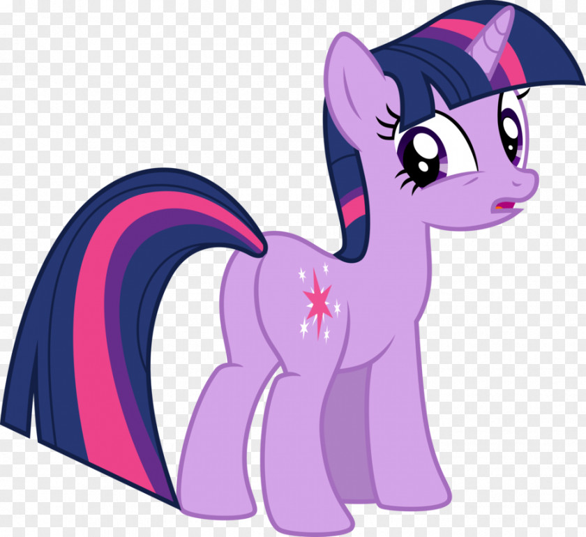 Twilight Sparkle Rarity Rainbow Dash Pinkie Pie Diaper PNG