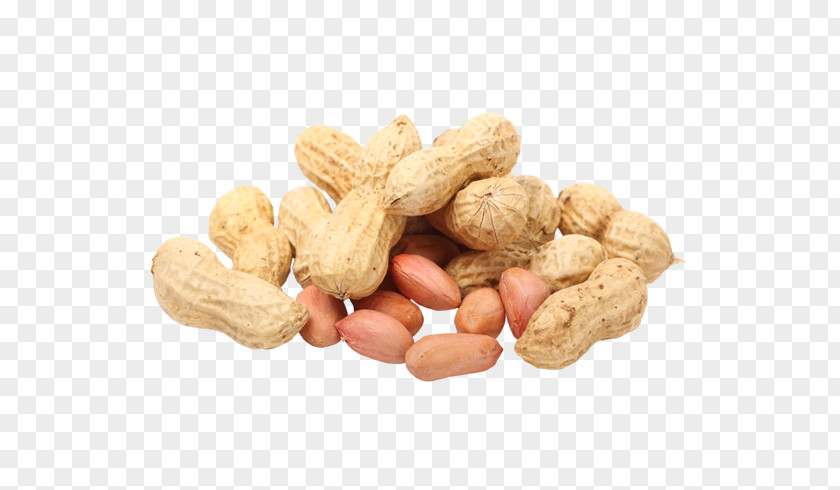 Almond Peanut Food Legume PNG