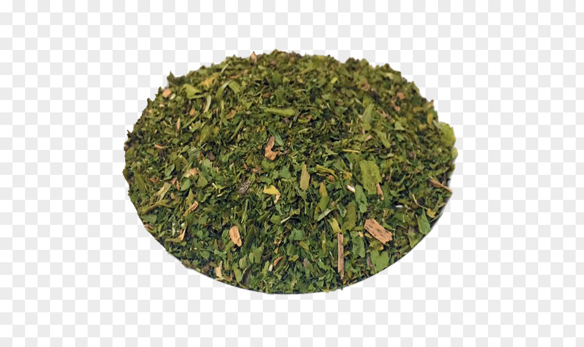 Especiarias Nilgiri Tea Tieguanyin Leaf Vegetable Plant PNG
