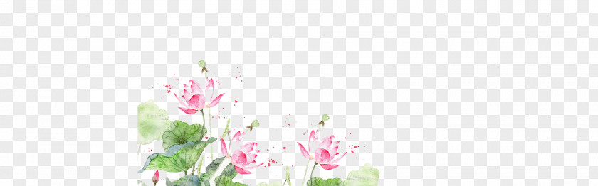 Ink Lotus Floral Design Cut Flowers Plant Stem Petal PNG