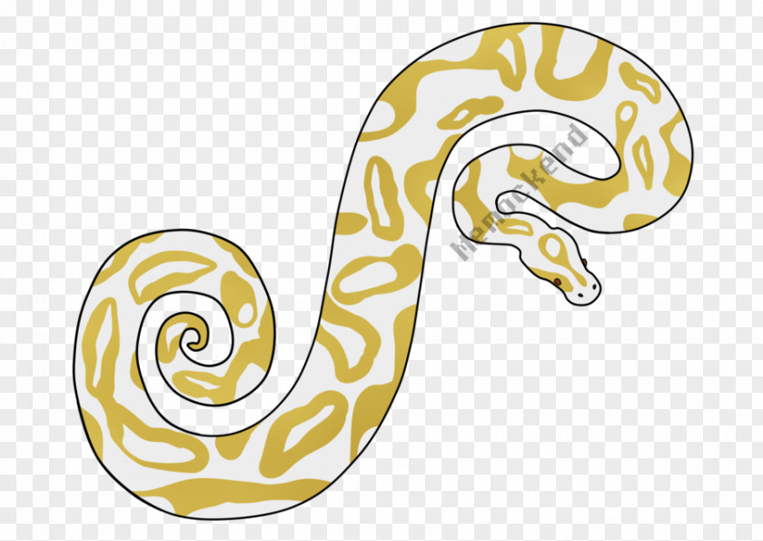 Albino Pattern Reptile Clip Art Line Body Jewellery PNG