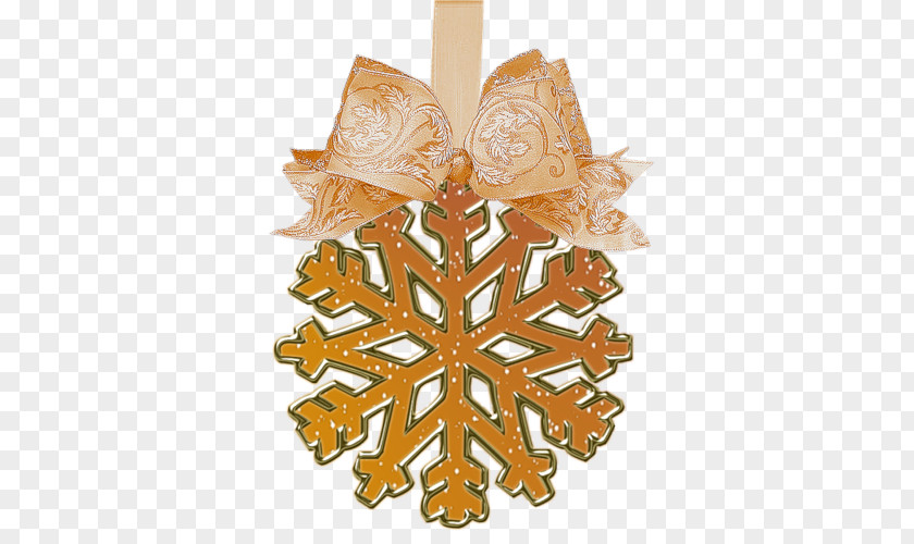 Autumn Christmas Ornament Petroleum Color Winter PNG