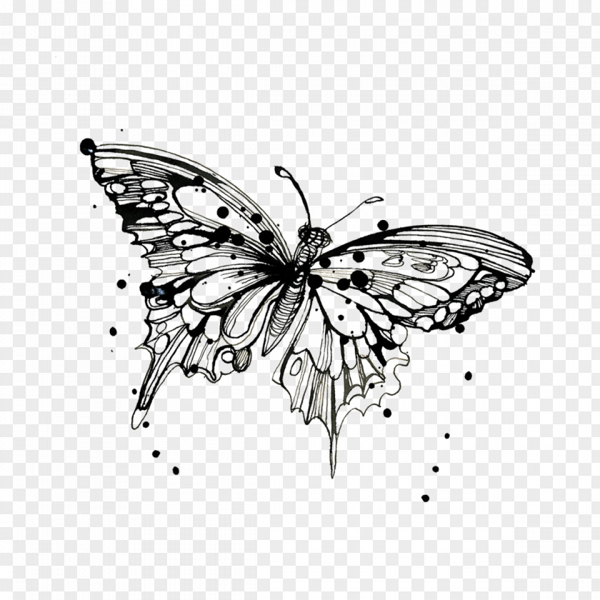 Average Watercolor Tattly Temporary Tattoos Monarch Butterfly Drawing PNG