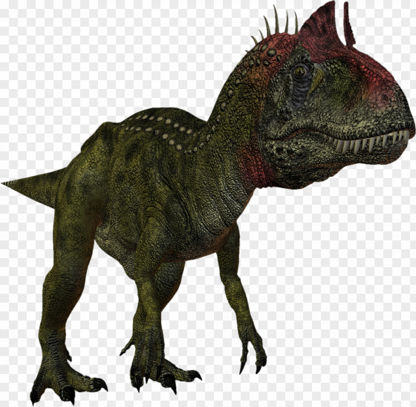 Dinosaur Velociraptor Ankylosaurus Giganotosaurus PNG