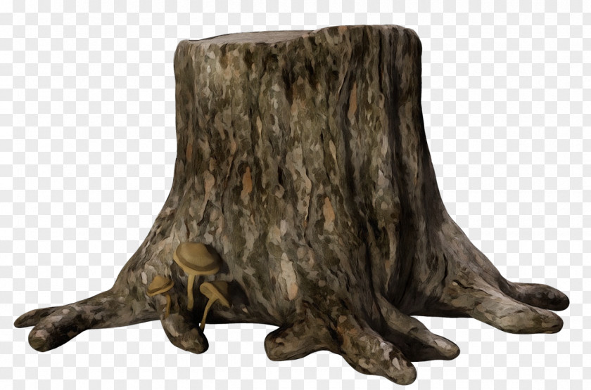 Furniture Plant Tree Stump PNG