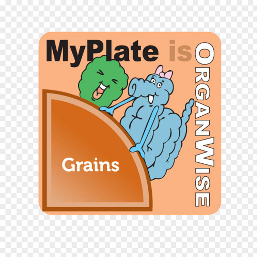Health The OrganWise Guys MyPlate Food Nutrition PNG
