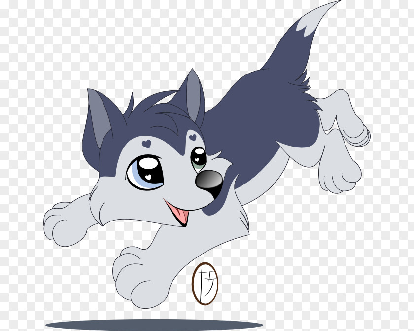 Kitten Whiskers Dog Cat PNG