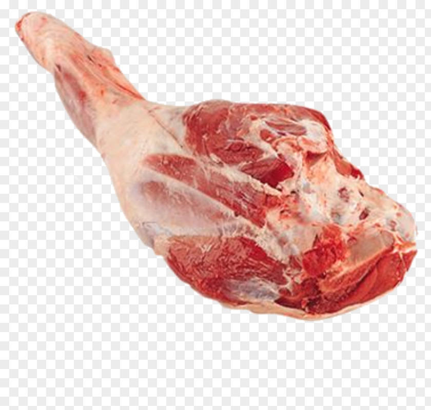 Lamb And Mutton Sheep Goat Leg Meat PNG and mutton Meat, sheep clipart PNG