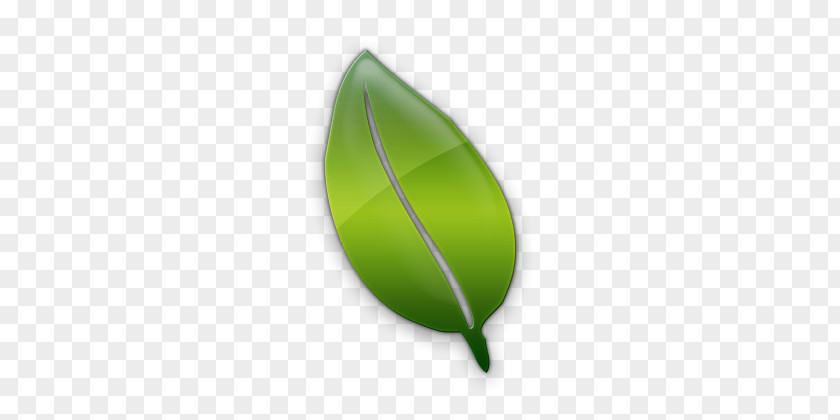 Leaf Cartoon PNG