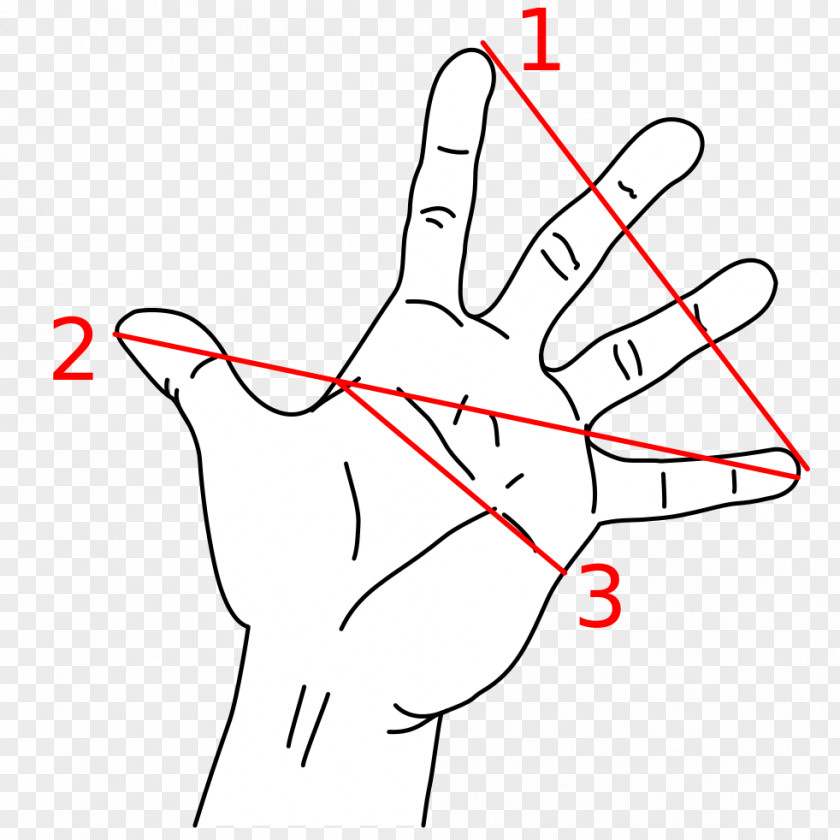 Mathematics Golden Ratio Measurement Hand Little Finger PNG