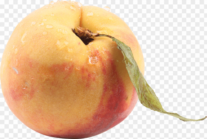 Peach Image Nectarine Food Clip Art PNG