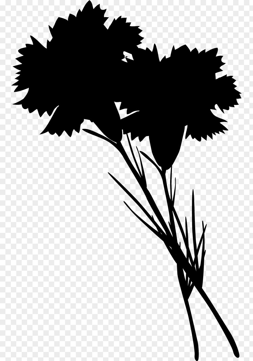 Twig Plant Stem Flower Leaf Clip Art PNG