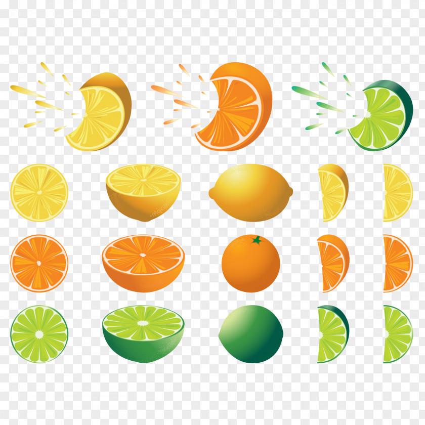 Vector Lemon Orange Cut Surface Juice Grapefruit PNG