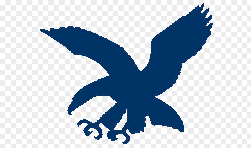 Ateneo Blue Eagles Logo De Manila University Davao Lady Volleyball Team PNG