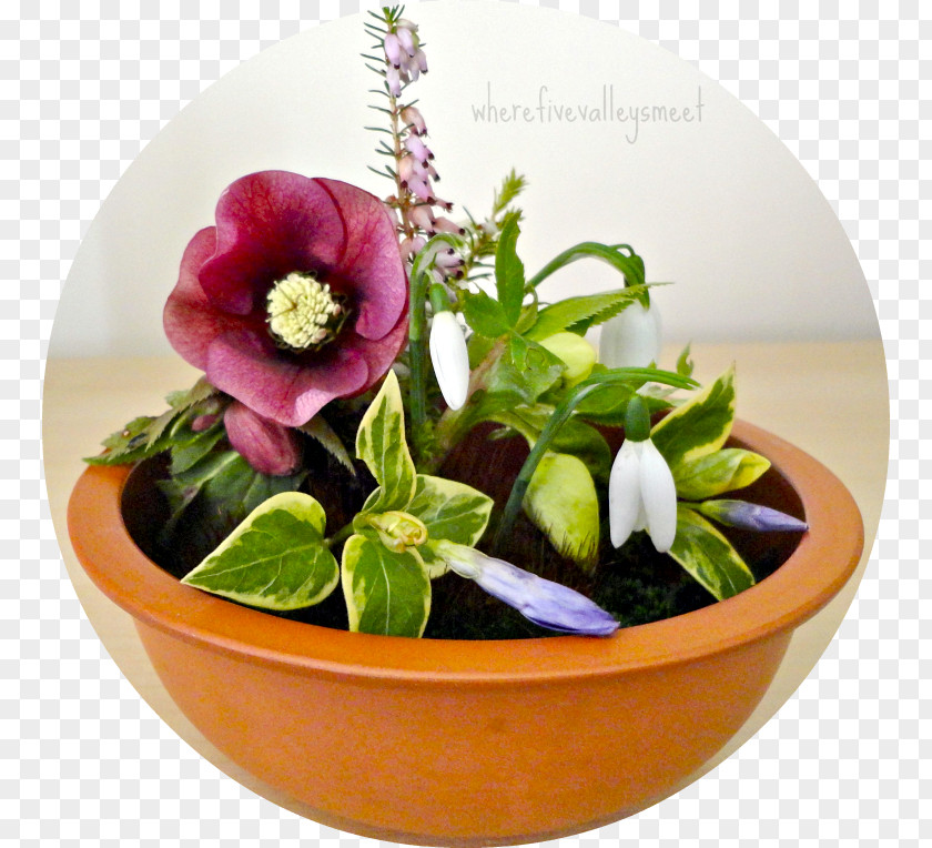 Design Floral Cut Flowers Flowerpot PNG