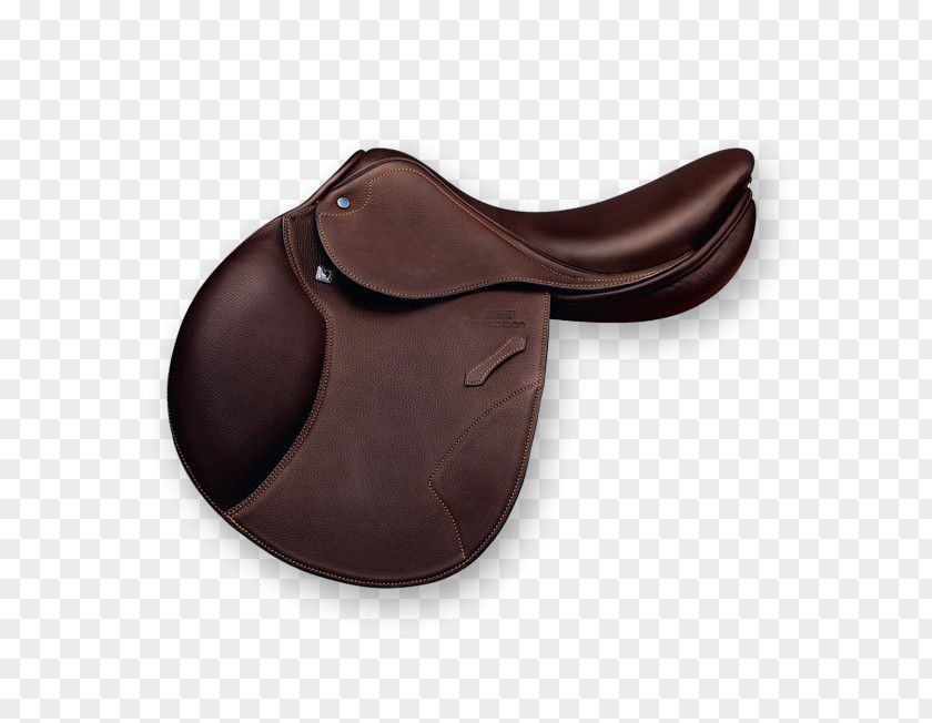 Horse Stubben North America English Saddle Equestrian PNG