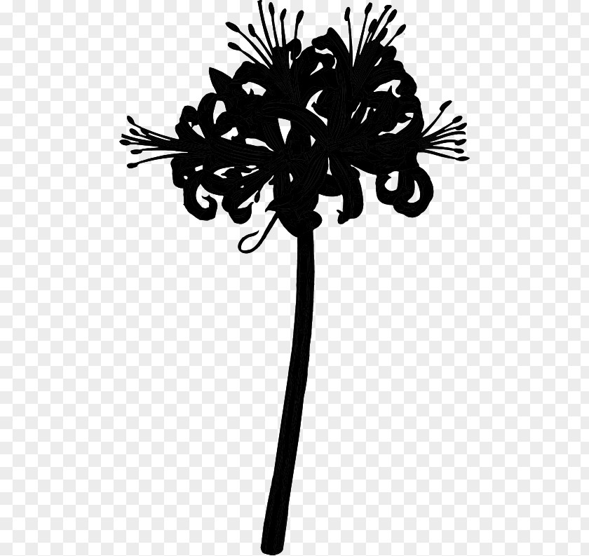 Palm Trees Plant Stem Flower Leaf Line PNG