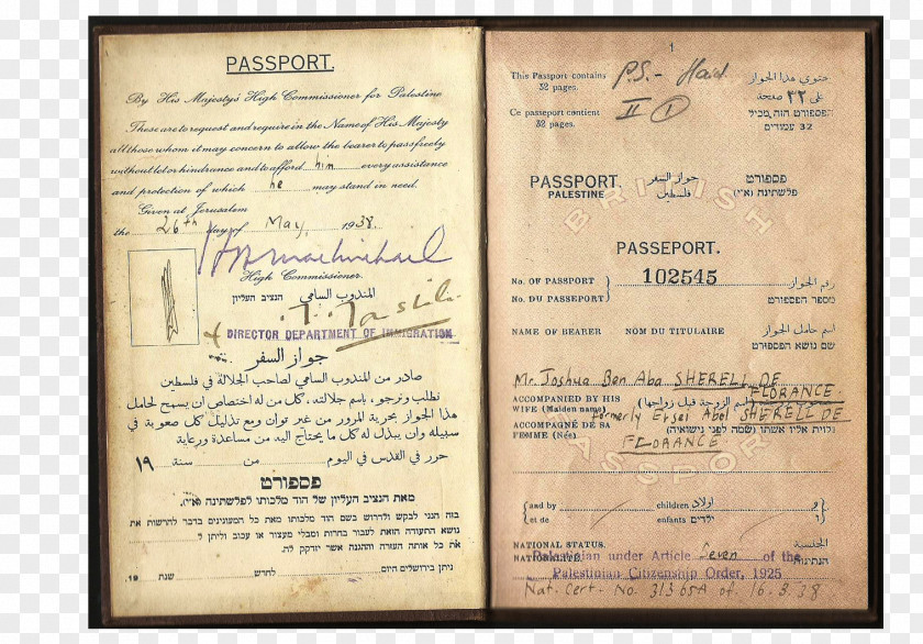 Passport Document Palestinian Authority Palestinians PNG