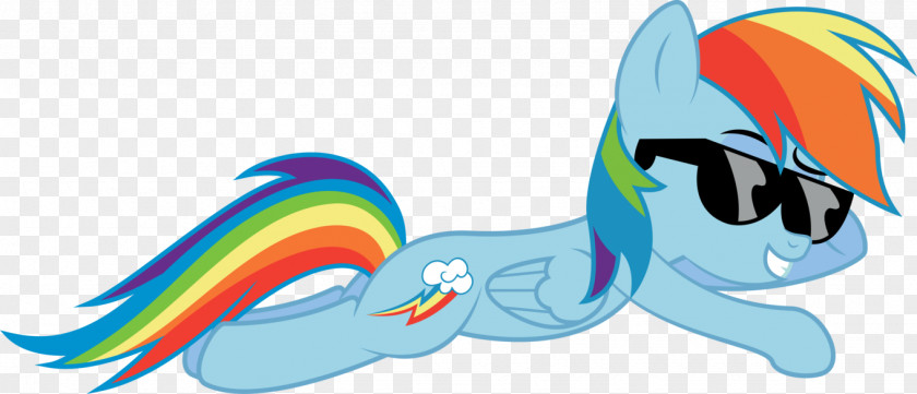 Rainbow Dash Pony Art PNG