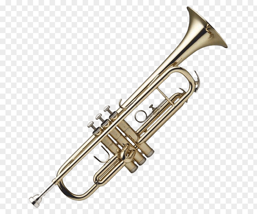 Trumpet Piccolo Brass Instruments Musical Cornet PNG