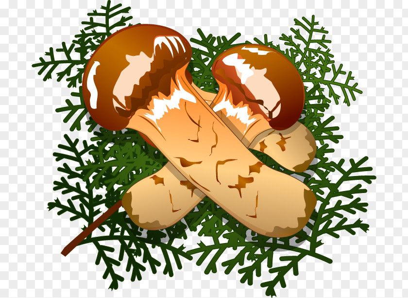 Autumn Posters Clip Art Illustration Matsutake PNG